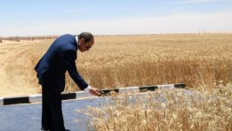 عززت الدولة جهود توفير الأمن الغذائي؟.. جهاز مستقبل مصر