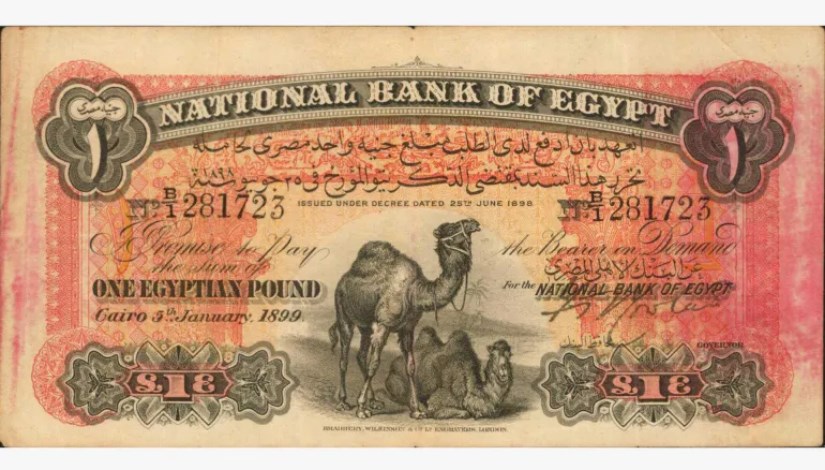 الجنيه أبو جملين الجنيه أبو جملين
