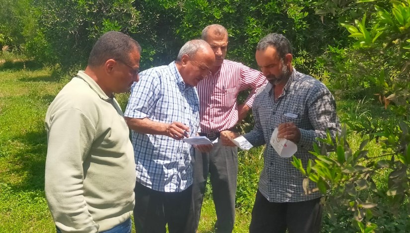 جانب من أعمال المرور والمتابعة جانب من أعمال المرور والمتابعة
