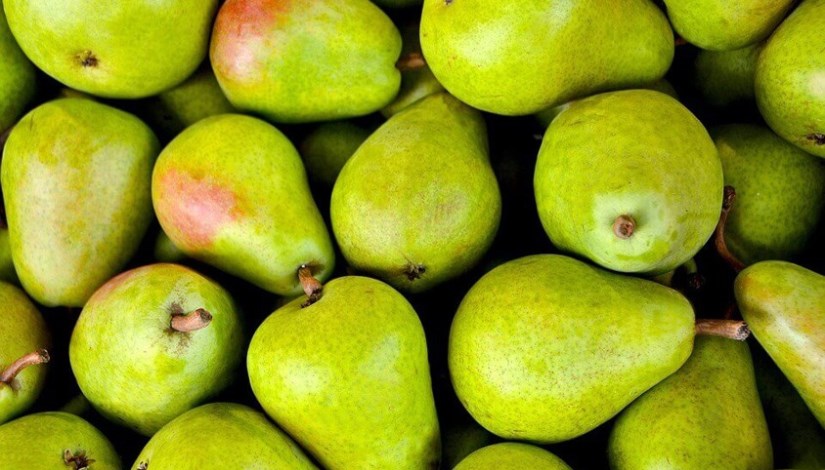 كمثرى كمثرى