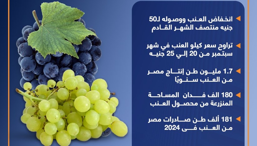 إجمالي إنتاج وصادرات مصر من العنب وموعد انخفاض أسعاره بالأسواق(انفوجراف) إجمالي إنتاج وصادرات مصر من العنب وموعد انخفاض أسعاره بالأسواق(انفوجراف)