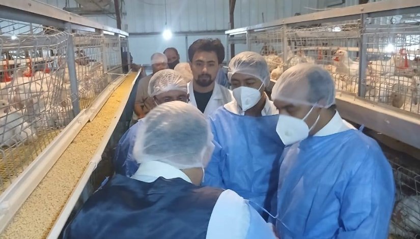 حملات بيطرية لدعم المربين وتعزيز منظومة الإنتاج الداجني حملات بيطرية لدعم المربين وتعزيز منظومة الإنتاج الداجني