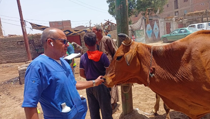 جانب من القافلة البيطرية جانب من القافلة البيطرية