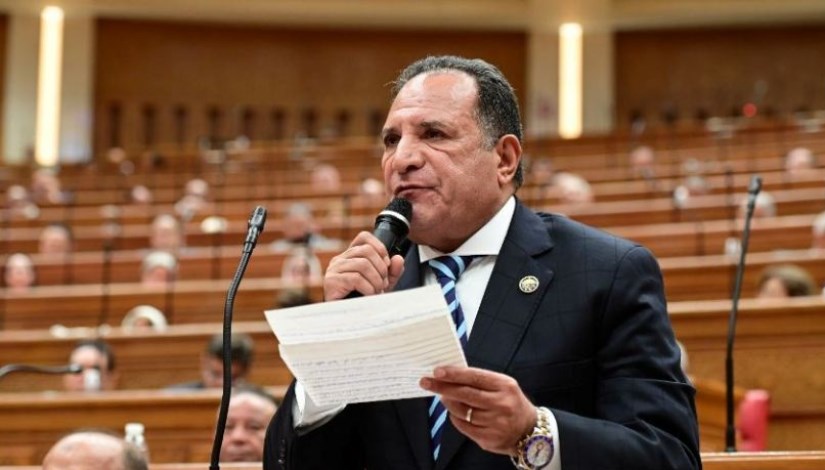 النائب محمد صلاح أبو هميلة النائب محمد صلاح أبو هميلة