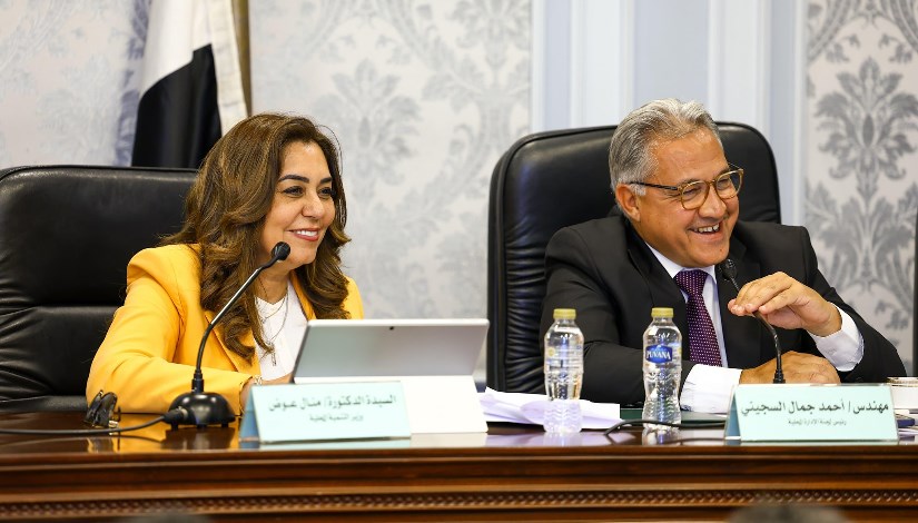 التنمية المحلية التنمية المحلية
