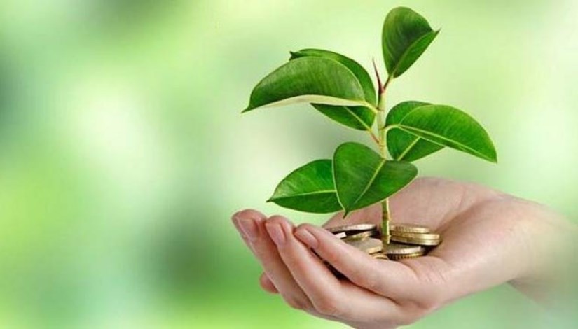 الاقتصاد الأخضر الاقتصاد الأخضر