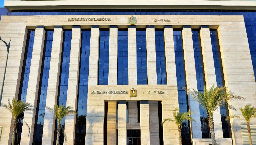 وزارة العمل المصرية وزارة العمل المصرية
