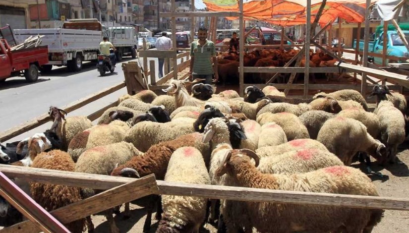 شوادر عيد الأضحى شوادر عيد الأضحى