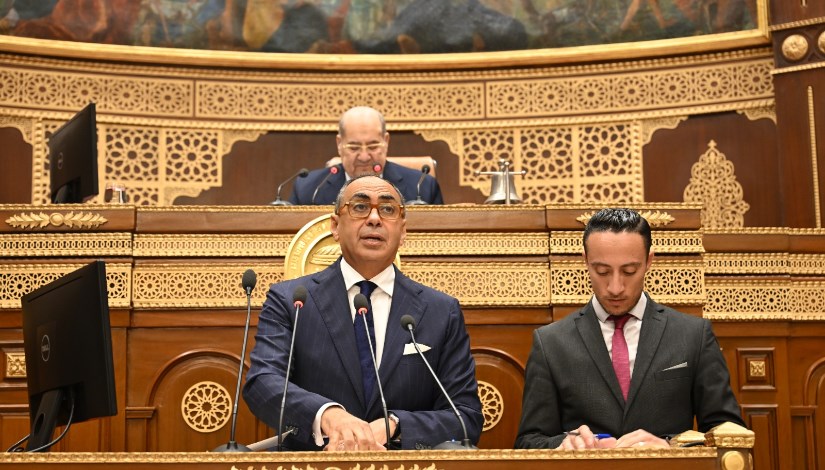 هانى سرى الدين خلال عرض اادراسة أمام مجلس الشيوخ هانى سرى الدين خلال عرض اادراسة أمام مجلس الشيوخ
