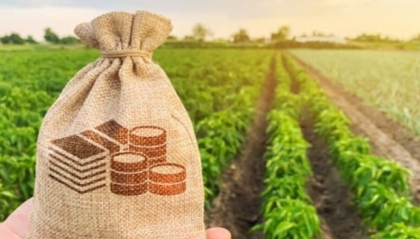 التنمية المستدامة التنمية المستدامة
