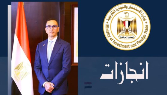 وزير الاستثمار