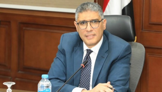 المهندس عادل النجار، محافظ الجيزة