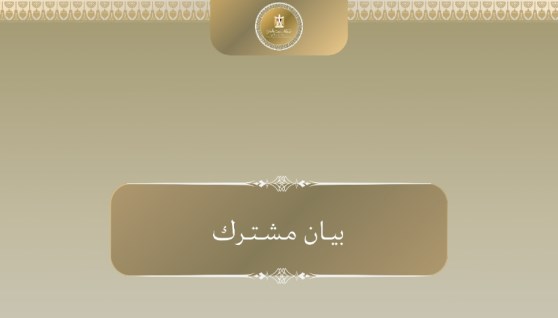 بيان الرئاسة المشتركة لمؤتمر الأمم المتحدة الدولي