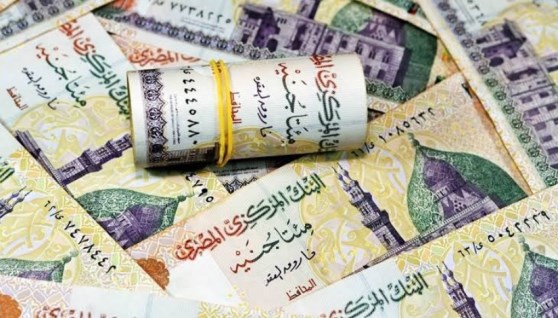 فلوس جديدة 