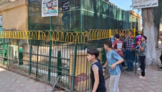 حدائق الحيوان والأسماك 