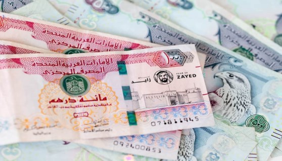 سعر الدرهم الإماراتي مقابل الجنيه المصري