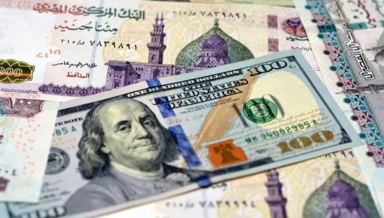 سعر الدولار اليوم مقابل الجنيه المصري 