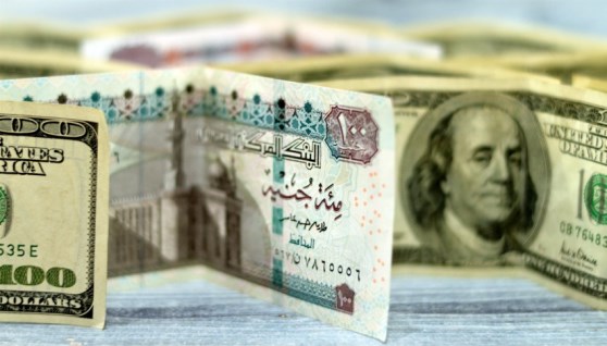 سعر الدولار اليوم مقابل الجنيه المصري 