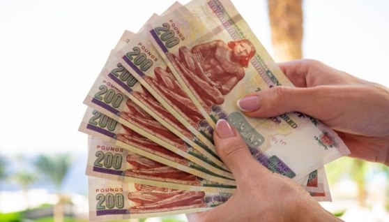 القرض الرقمي للعملاء المحولة رواتبهم على بنك مصر