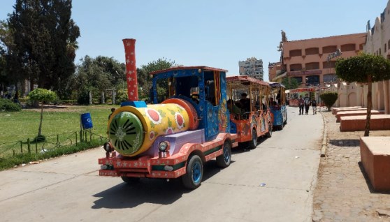 الطفطف