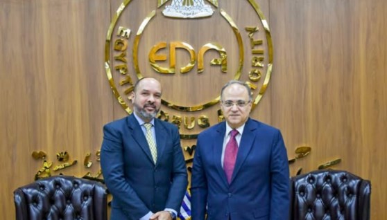 هيئة الدواء المصرية