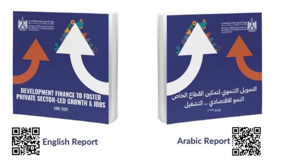 التمويل التنموي لتمكين القطاع الخاص