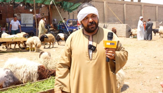 أبو أدهم تاجر الخراف.. تصوير: إبراهيم نصر