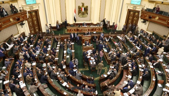 نائب يؤكد على ضرورة وجود هيئة لتنظيم العقار في مصر