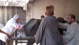 جانب من التشخيص والعلاج