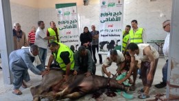 لحوم الاضاحي