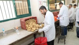 فحص بطاطس المائدة