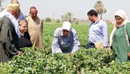 جانب من الندوات الارشادية