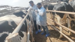 جانب من الفحص والعلاج