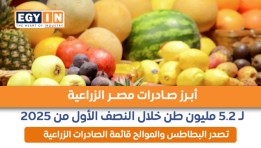 قائمة بأهم صادرات مصر الزراعية خلال النصف الأول من 2025 (انفوجراف)