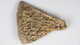 عظمة الكتف “بيت اللوح”
