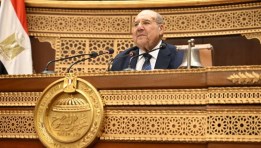 مجلس الشيوخ