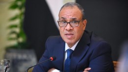 وزير الخارجية والهجرة