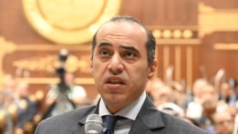 محمود فوزي، وزير الشؤون النيابية