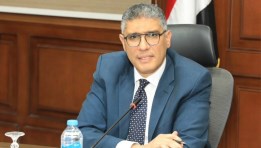المهندس عادل النجار، محافظ الجيزة