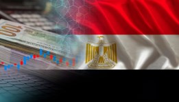 ريادة الأعمال في مصر