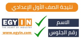 استعلم الآن، ظهور نتيجة الصف الأول الإعدادي 2025 بمحافظة الجيزة