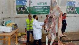  المجازر الحكومية