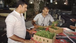 رجال الحجر الزراعي يواصلون المتابعة والفحص بالمنافذ