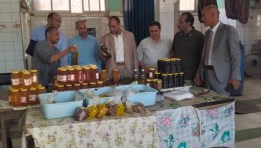  وزارة الزراعة تتفقد الزراعات
