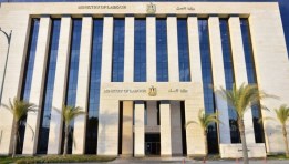 وزارة العمل 