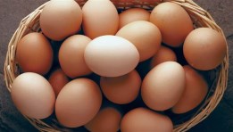 أسعار البيض اليوم