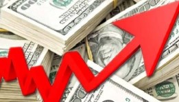 سعر الدولار اليوم مقابل الجنيه المصري 