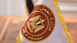 وزارة العمل 