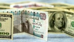 سعر الدولار اليوم مقابل الجنيه المصري 