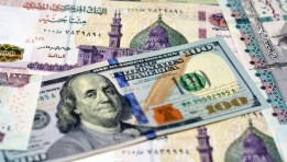 سعر الدولار اليوم مقابل الجنيه المصري 